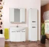 Купить Шкаф-зеркало Бриз шнз22-105 Бриз в Находке